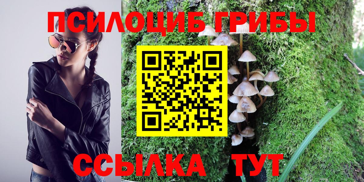 Псилоцибиновые грибы Cubensis Обнинск